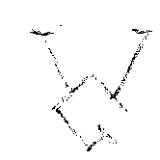 Brand from Dietrich