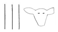 Brand from Cooper Landing